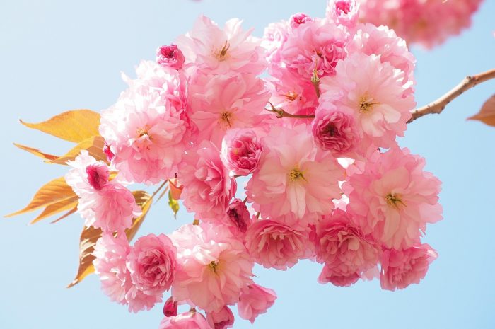 搞笑误会促成真约会