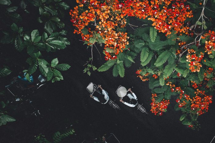 视频约会中如何判断对方是否真正感兴趣