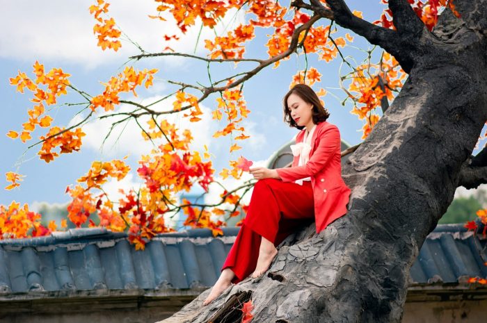 网络交友欺骗我的抓猫经历