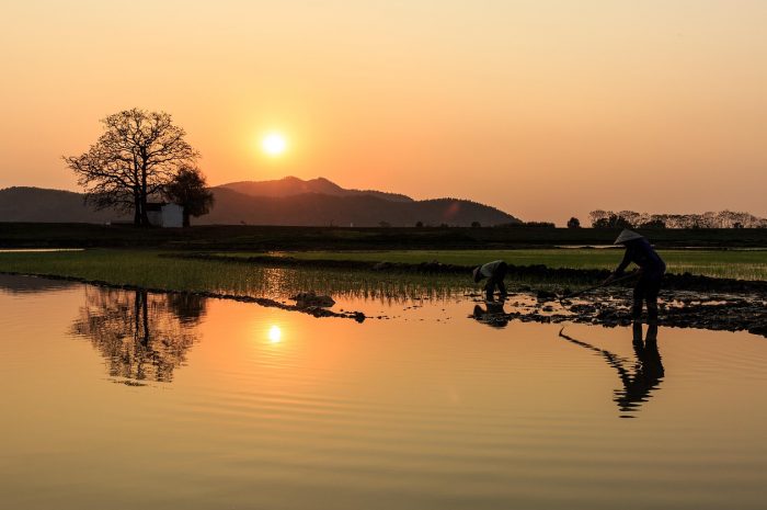 音频首约被鬼魂后的恢复指南