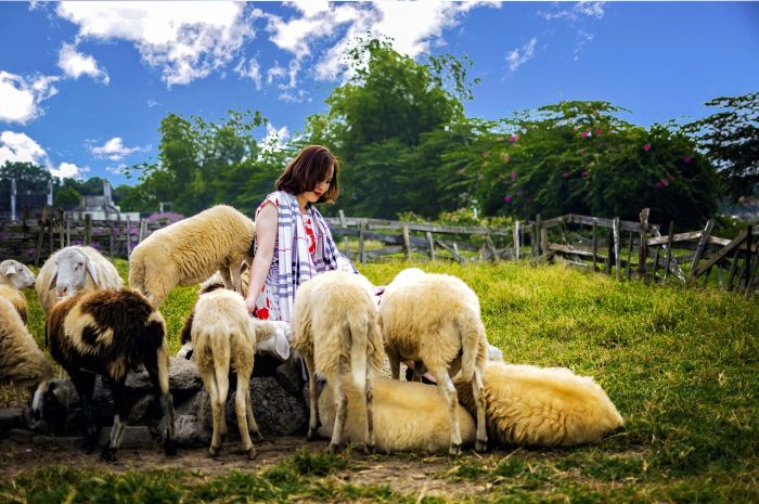 一位约会教练分享18个个人资料照片技巧