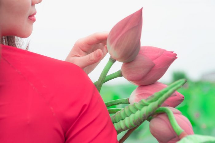 如何处理拒绝术语表你需要知道的术语