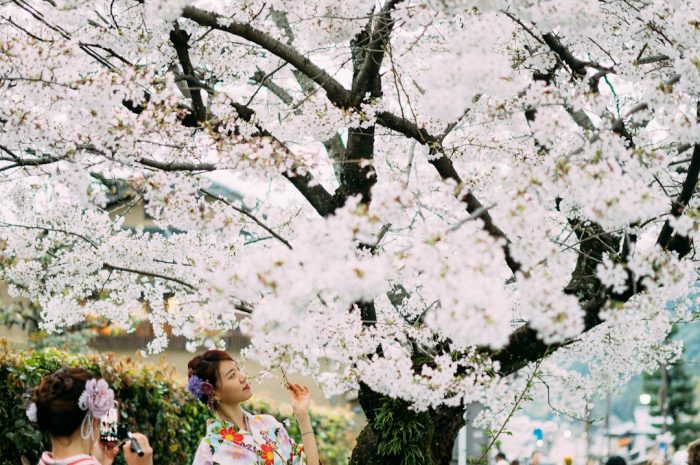 被鬼魂般消失的悔恨我如何鬼混了某人并后悔了真实的建议