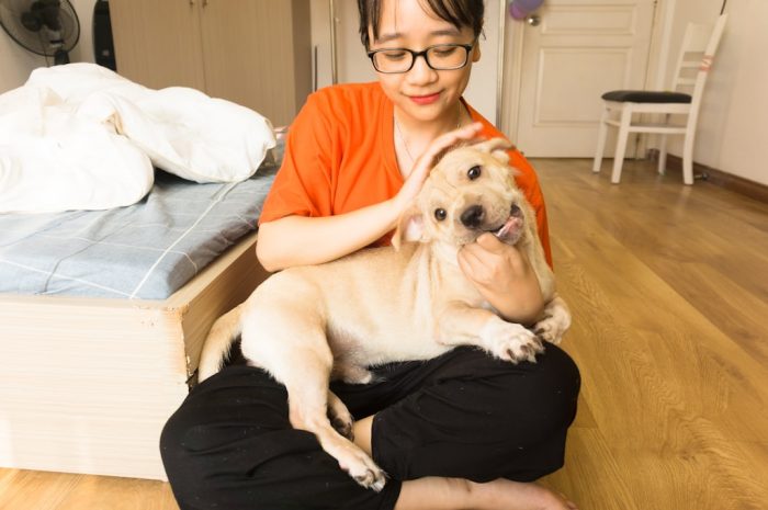 在线交友技巧和调情艺术的初学者指南