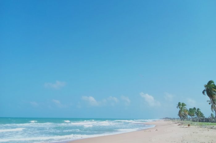 在使用反向图像搜索时设定界限