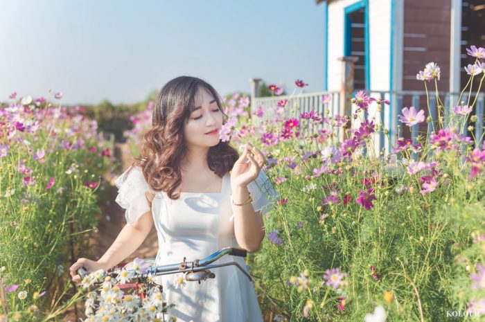 幽默视频约会平台我的亲身经历